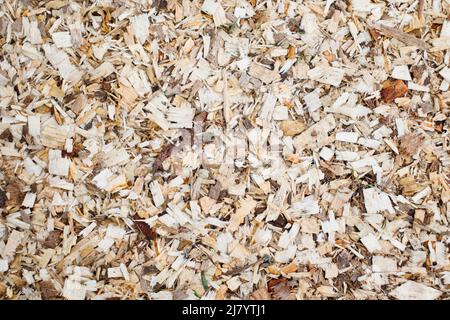 Close-up of a layer of sawdust from freshly sawn trees. Wood sawing waste used for heating. Stock Photo
