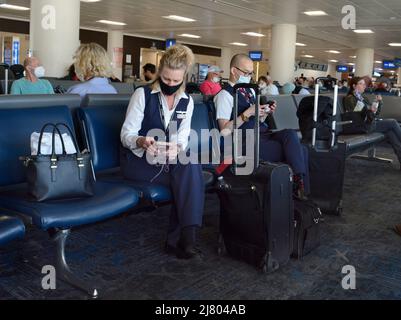 American Airlines flight attendants use their smartphones as they sit