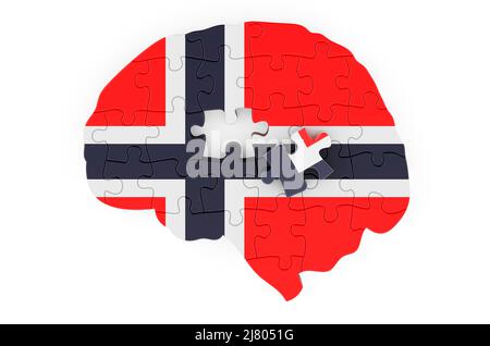 Norwegian flag painted on the brain from puzzles. Scientific research and education in Norway concept, 3D rendering isolated on white background Stock Photo