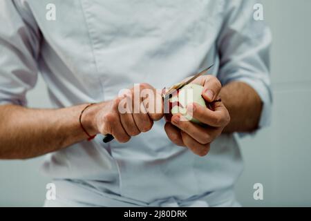 Gastronomic student peeling apples for apple pie Stock Photo