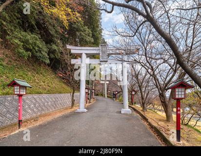 kyushu, japan - december 08 2021: Sacred sando path of Miyajidake Shrine lined by wooden lanterns overlooked by multiple stone Torii portals leading t Stock Photo
