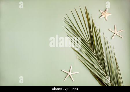 Composition of a big palm leaf with sea stars, summer vacation concept Stock Photo