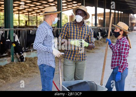 Farmers in protective masks discussing working process near stall Stock Photo