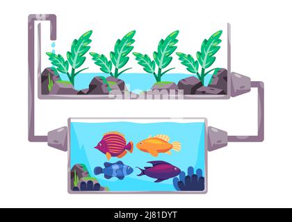 Aquaponics system in smart farming method flow of water and nutritions using fish in diagram process Stock Vector