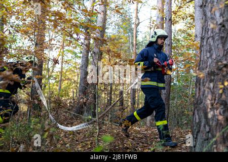 Firefighters men at action, running through smoke with shovels to stop fire in forest. Stock Photo