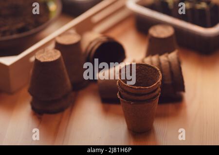 Eco friendly pots for planting seeds, home gardening. Stock Photo