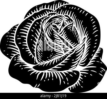 Rose Flower Vintage Woodcut Drawing Stock Vector