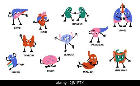 Human body organs characters. Cartoon cute anatomy mascot persons with hands legs and happy faces. Vector kidney stomach lungs character set Stock Vector