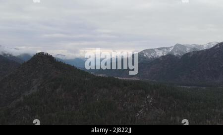 Colima Forests A Mountain peak visible through pine branches, Nevado de Colima ...