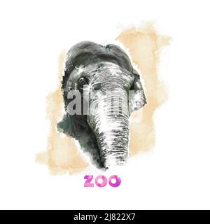 Elephant in the zoo in a watercolor style Stock Vector