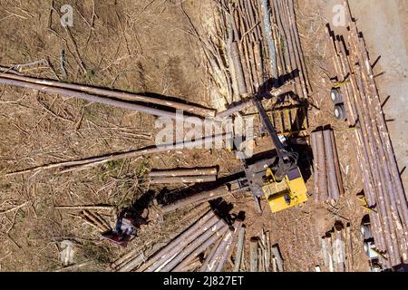 Crane in forest loading logs in the truck on timber harvesting transportation Stock Photo