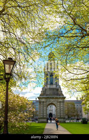 Springtime in Library Square of Trinity College Dublin, Ireland showing the Campanile Stock Photo