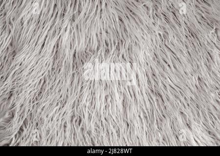 long fluffy fur in neutral light condition as background wallpaper Stock Photo