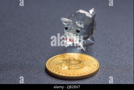 Bitcoin and piggy bank savings concept, background with bitcoin Stock Photo
