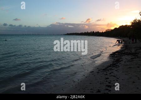 Coucher de soleil sur une plage de Guadeloupe Stock Photo