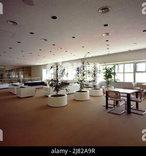 Empty Office with Furniture and Pot Plants Stock Photo