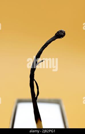 burnt matchstick in matchbox on yellow background Stock Photo