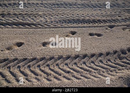 Human footprints and machinery tracks in the sand. Stock Photo