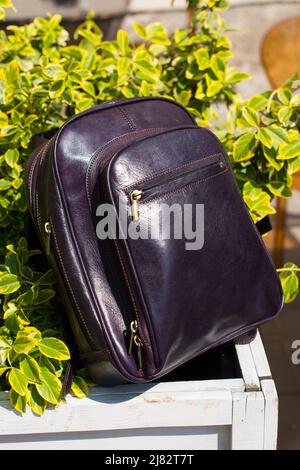 burgundy leather backpack. bush on a background Stock Photo