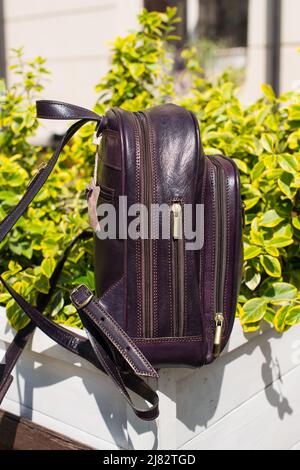 burgundy leather backpack. bush on a background Stock Photo