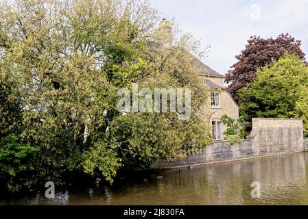 View across the river Windrush - Summer afternoon in the Cotswold village of Bourton on the Water, Gloucestershire, England, United Kingdom. 25th of M Stock Photo