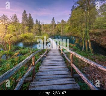 Wooden path in green forest in Plitvice Lakes, Croatia at sunset Stock Photo