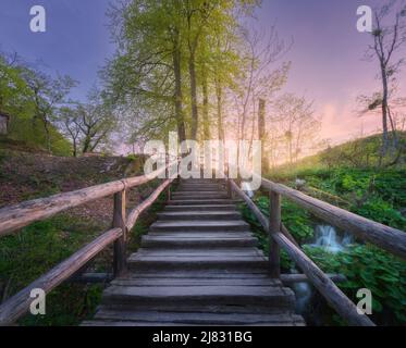 Wooden stairs in forest at sunset in spring. Plitvice Lakes Stock Photo