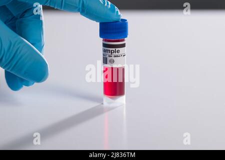 close-up of a hand in medical gloves handling a blood probe with coded information Stock Photo
