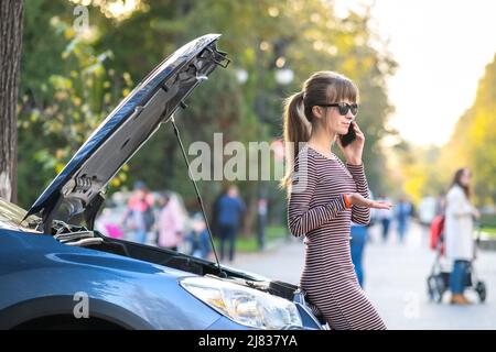 Angry female driver talking on cell phone with assistance service worker standing near a broken car. Stock Photo