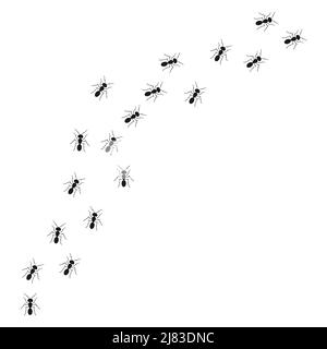 A path of ants running up. View from above. Vector illustration in flat cartoon style Stock Vector