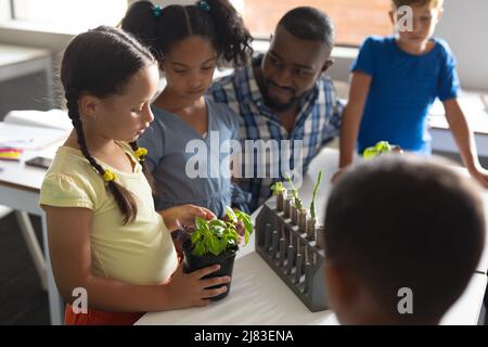 African american young male teacher looking at multiracial elementary students analyzing plants Stock Photo