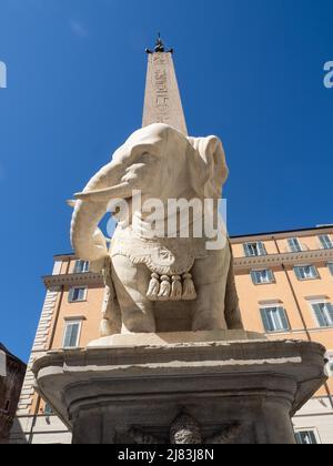 Elephant sculpture by Bernini in front of Santa Maria sopra Minerva, Rome, Italy Stock Photo
