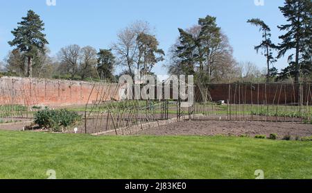 A Cultivated Area of a Walled Kitchen Garden. Stock Photo