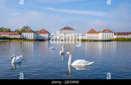 Swans swimming in front of Nymphenburg Palace, Palace Garden, Munich, Bavaria, Germany Stock Photo