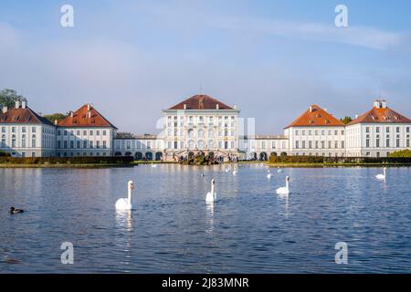 Swans swimming in front of Nymphenburg Palace, Palace Garden, Munich, Bavaria, Germany Stock Photo