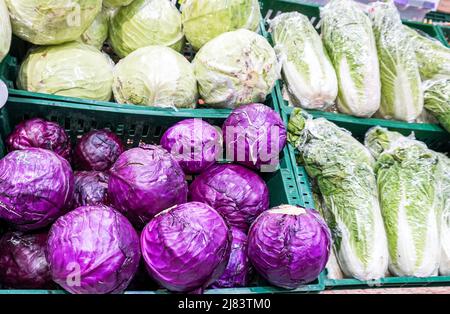 Fresh cabbage of new harvest ready to sale at the farmers market Stock Photo