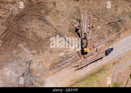 Tree removal crane operator loading logs on to truck Stock Photo