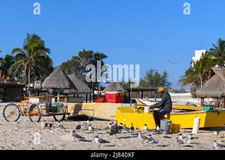 Fisherman sorting fish on the Progreso beach, Yucatan, Mexico Stock Photo