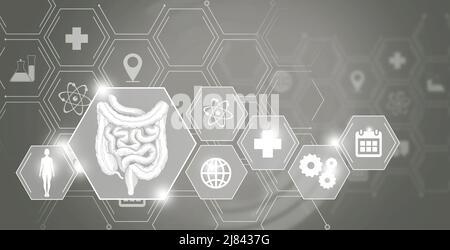 Human internal organ Intestine emergency help and protection from  diseases. Grey template palette, copy space for text. Stock Photo