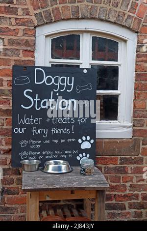 Doggy Treats Station,Walton Arms,pub,148 Old Chester Road, Higher Walton, Warrington, Lancashire,UK, WA4 6TG Stock Photo