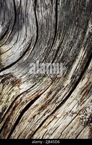 background or texture abstract wavy wood detail Stock Photo