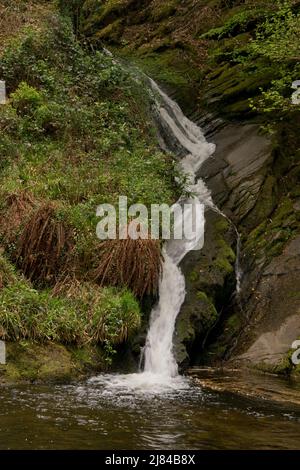 Waterfalls in Hafod Uchtryd wooded and landscaped estate, in the ...