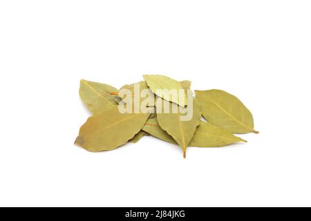 Dried bay laurel leaves or Laurus nobilis spice isolated on white background. Stock Photo