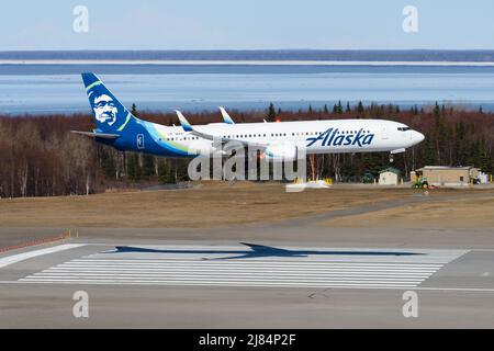Alaska Airlines Boeing 737-900 landing in Anchorage Airport, Alaska, USA. Boeing 737 of Alaska Airlines over runway threshold. Stock Photo