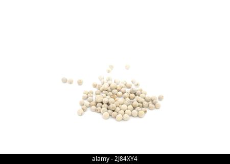 Whole white pepper spice or Piper nigrum dried berries isolated on white background. Stock Photo