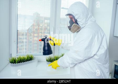 pest control worker in uniform spraying pesticides under cabinet in kitchen flower on window Stock Photo