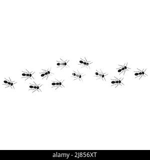 A path of ants running up. View from above. Ant vector trail. Stock Vector