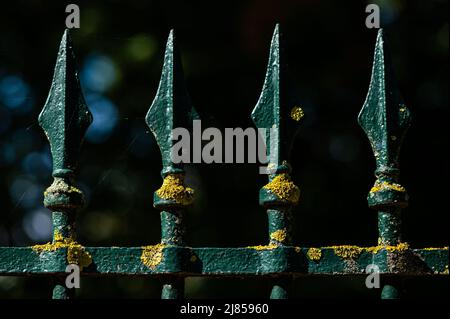 Detail of a beautifully decorated green fence of a park in Nancy (France, sunny day in summer Stock Photo