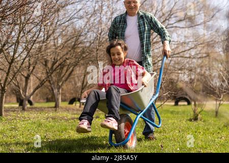 Grandfather giving granddaughter ride in wheelbarrow in the garden Stock Photo