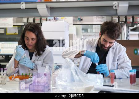 Two young phD students working in a real laboratory. Stock Photo